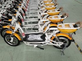 四川最大电动车生产供货商的崛起与未来展望